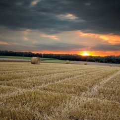 Другая техника